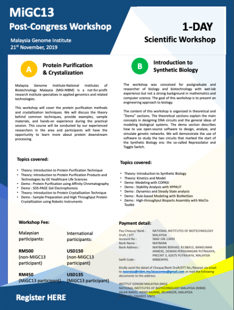 MiGC13 Post-Congress Workshop